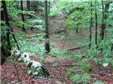 številne vrtače na planoti