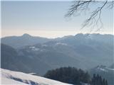 Osolnik 858m Pogled proti trdoživi Ljubljanski megli!