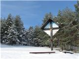 Gontarska planina, Veliki Babnik in Tošč Znamenje z lepim borovim gozdom, zadaj