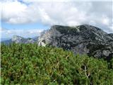 Korošica,Koroški vrh1990m Sem že na enem od vrhov Koroškega vrha