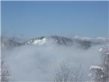 Gontarska pl.894m in Triglav desno