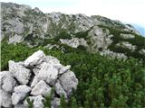 Korošica,Koroški vrh1990m Na najvišjem srednjem vrhu