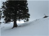 Pod Košuto(krožna ski tura po planinah) Na hribu 1600m pred pl.Šijo