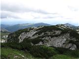 Korošica,Koroški vrh1990m Vrh je kar dolg(precej zaraščen z borovci,(vmes gre komaj vidna  pot,dva prehoda po borovcih ne uideta)