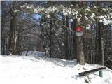 Gontarska planina, Veliki Babnik in Tošč Vrh