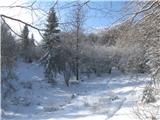 Gontarska planina, Veliki Babnik in Tošč Prava divjina in mir