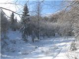 Gontarska planina, Veliki Babnik in Tošč Prava divjina in mir