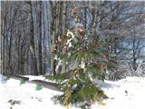 Gontarska planina, Veliki Babnik in Tošč Smreka lepo okrašena,le bombonov je zmanjkalo