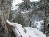 Gontarska planina, Veliki Babnik in Tošč Zahtevnejši sestop v grapo s slapom,do Rovtarja