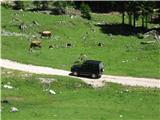 Ostrv 2126m Jeep Mersedes se je primajal do Planine Dolge njive