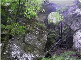 Krnica - Pokljuka Gorge (luknja)