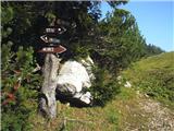 Konec ceste pod Struško (Strmela) - Planina Seča