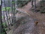 Spodnje Gorje - Planina Obranica