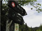 Čas sem prekoračil,rožice sem v aparat tlačil