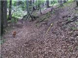 Spodnje Gorje - Planina Obranica