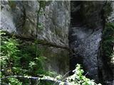 Krnica - Pokljuka Gorge (luknja)