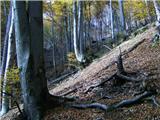 Kočna  - Planina Obranica