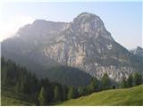 Monte Scinauz