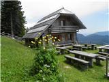 Planina Podvežak,kjer kravice bi pasel vsak,ki rad ima ta gorski svet in pozabi koliko ima let.