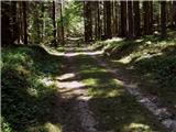 Podmežakla (Jesenice) - Partizanska bolnišnica na Mežakli