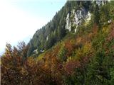 End of road below Struška (Strmela) - Planina Seča