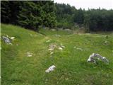 Spodnje Gorje - Planina Obranica