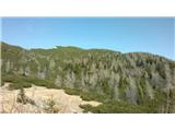 Planina Rzenik - Mlakarjeva bajta 1650m