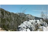 Planina Rzenik - Mlakarjeva bajta 1650m