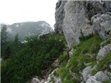 Žagana peč - Kalška gora