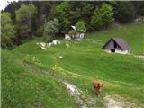 Kočna - Planina Obranica