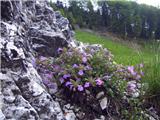 Kočna - Planina Obranica