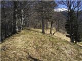 Koroška Bela (RC Kres) - Planina Stamare