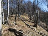 Koroška Bela (RC Kres) - Planina Stamare