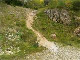 End of road below Struška (Strmela) - Planina Seča