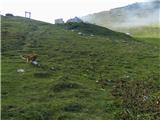 End of road below Struška (Strmela) - Planina Seča