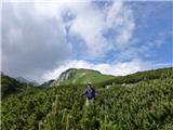 Bohinjski hribi - prečenje Ogradi