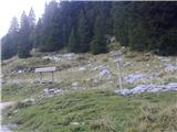 zgornja pot vodi direktno v dolino, mi pa po spodnji od koče