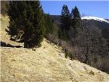 Koroška Bela (RC Kres) - Planina Stamare