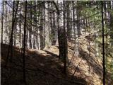 Koroška Bela (RC Kres) - Planina Stamare