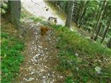 Dom Pristava in Javorniški Rovt - Barentaler Kotschna/Struška