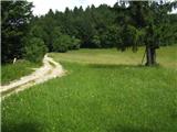 Spodnje Gorje - Planina Obranica