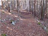 Podmežakla (Jesenice) - Snežna jama na Mežakli