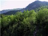 Podmežakla (Jesenice) - Partizanska bolnišnica na Mežakli