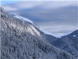 Bistriška planina in Ojstrnik