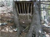 Konec ceste pod Struško (Strmela) - Planina Seča