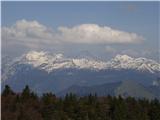 Lepenatka in zadaj panorama K.S. Alp