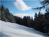 Uršlja Gora (Plešivec) 1699m 