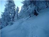 Uršlja Gora (Plešivec) 1699m 