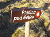 Golica 