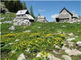 Cvetoča planina...